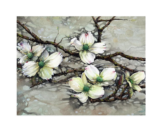 Dogwood Watercolor Hand Signed Giclee Print