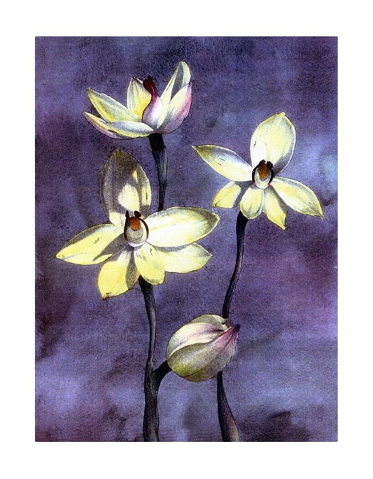 Yellow Orchid Watercolor Hand Signed Giclee Print