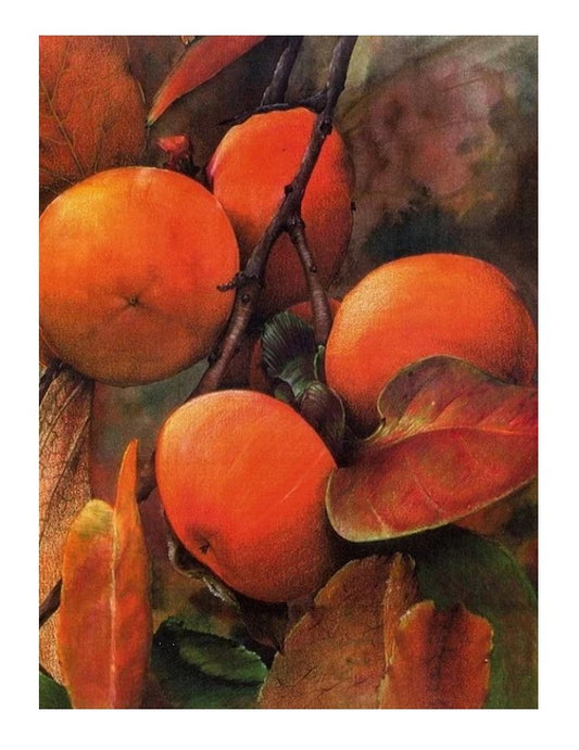 Japanese Persimmon Watercolor Hand Signed Giclee Print
